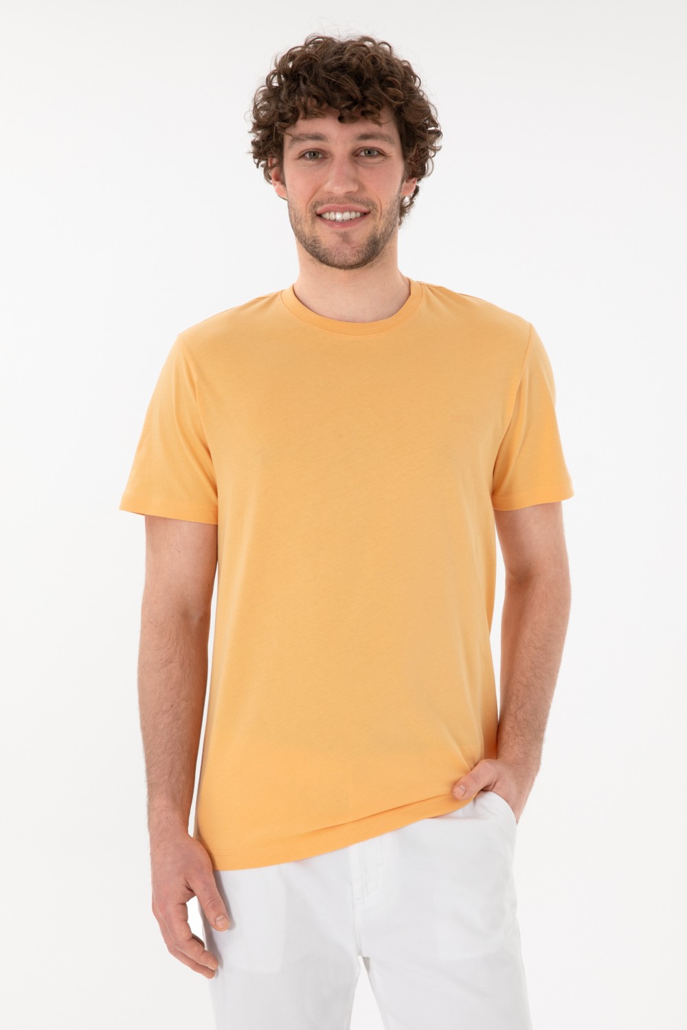 U.S. Polo Assn. Erkek Regular Fit Bisiklet Yaka Mint Basic Tişört 50305928-VR090
