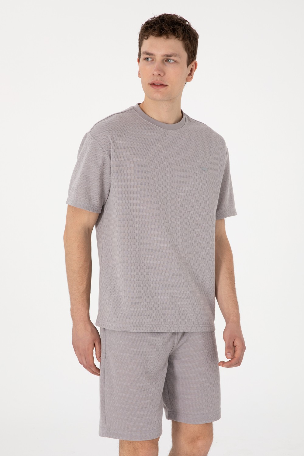 U.S. Polo Assn. Erkek Comfort Fit Bisiklet Yaka Lacivert Tişört 50308814-VR033