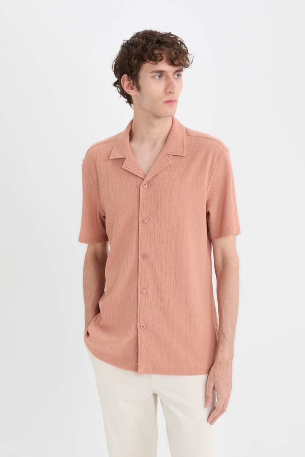 DeFacto Kırışmaz Modern Fit Polo Yaka Dokulu Penye Kısa Kollu Gömlek C4125AX25SM görsel 4