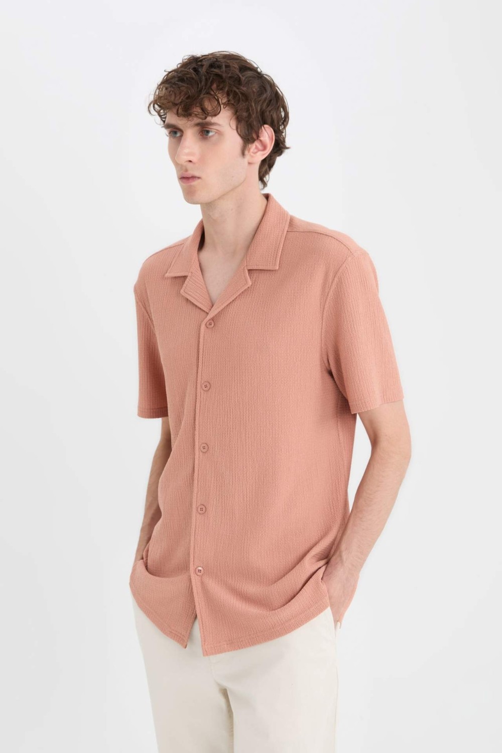 DeFacto Kırışmaz Modern Fit Polo Yaka Dokulu Penye Kısa Kollu Gömlek C4125AX25SM görsel 5