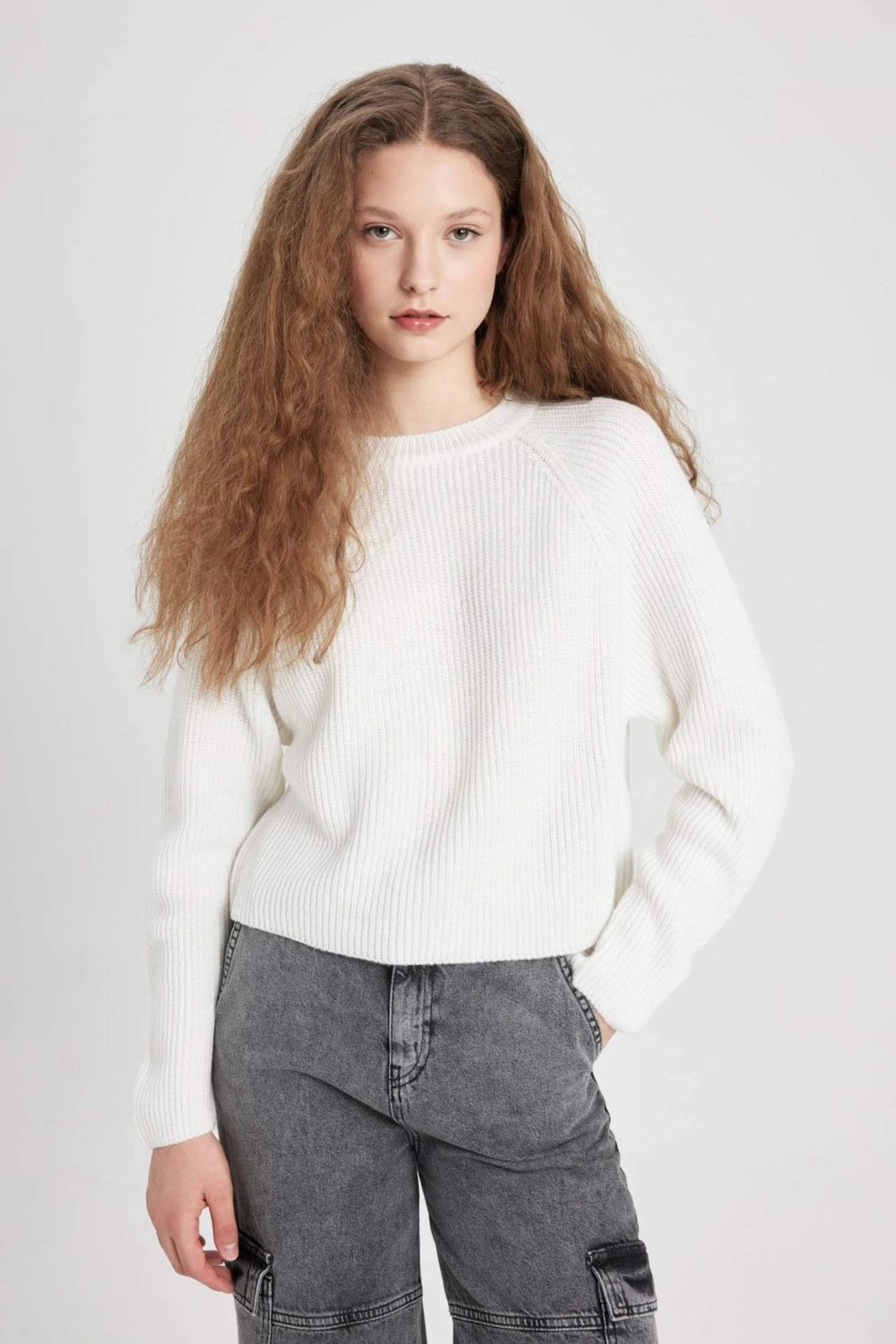 DeFacto Coool Regular Fit Bisiklet Yaka Basic Düz Triko Kazak L2567AZ24WN görsel 7