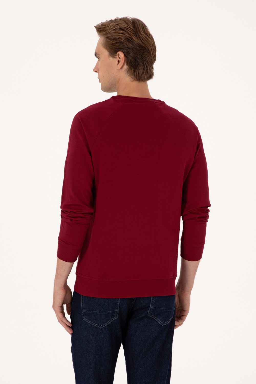 U.S. Polo Assn. Erkek Regular Fit Bisiklet Yaka Siyah İnce Basic Sweatshirt 50313752-VR046 görsel 5