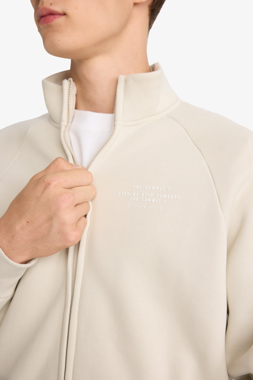 DeFacto Boxy Fit Dik Yaka Baskılı İçi Yumuşak Tüylü Cepli Fermuarlı Sweatshirt E1367AX25AU görsel 5