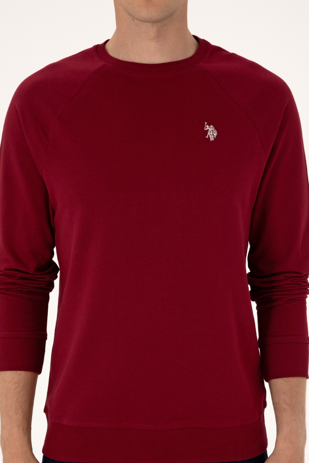 U.S. Polo Assn. Erkek Regular Fit Bisiklet Yaka Siyah İnce Basic Sweatshirt 50313752-VR046 görsel 6