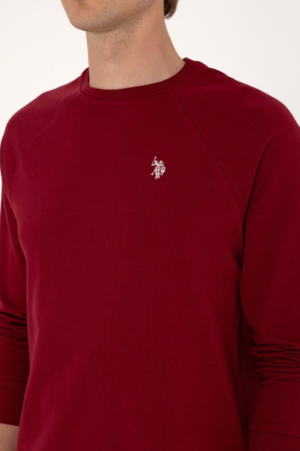 U.S. Polo Assn. Erkek Regular Fit Bisiklet Yaka Siyah İnce Basic Sweatshirt 50313752-VR046 görsel 7