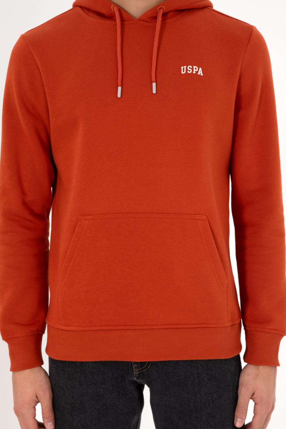 U.S. Polo Assn. Erkek Kapüşonlu Fıstık Yeşili Basic Şardonlu Sweatshirt 50295176-VR087 görsel 7