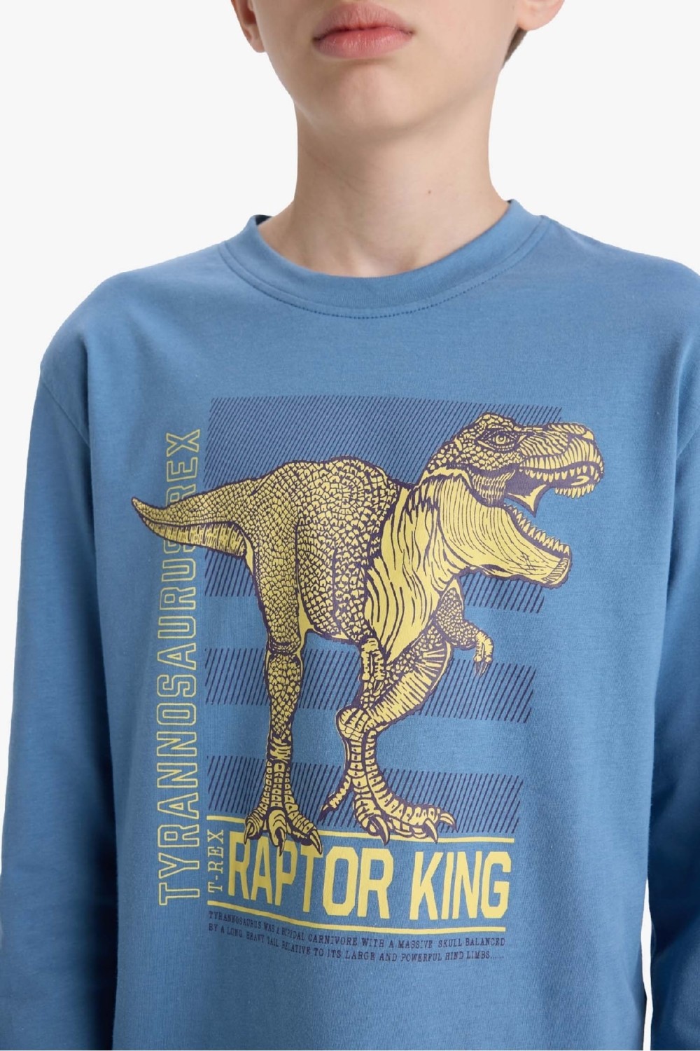 DeFacto Erkek Çocuk Pijama Takımı Dinozor Baskılı Uzun Kollu Üst Uzun Alt F1891A825AU görsel 5