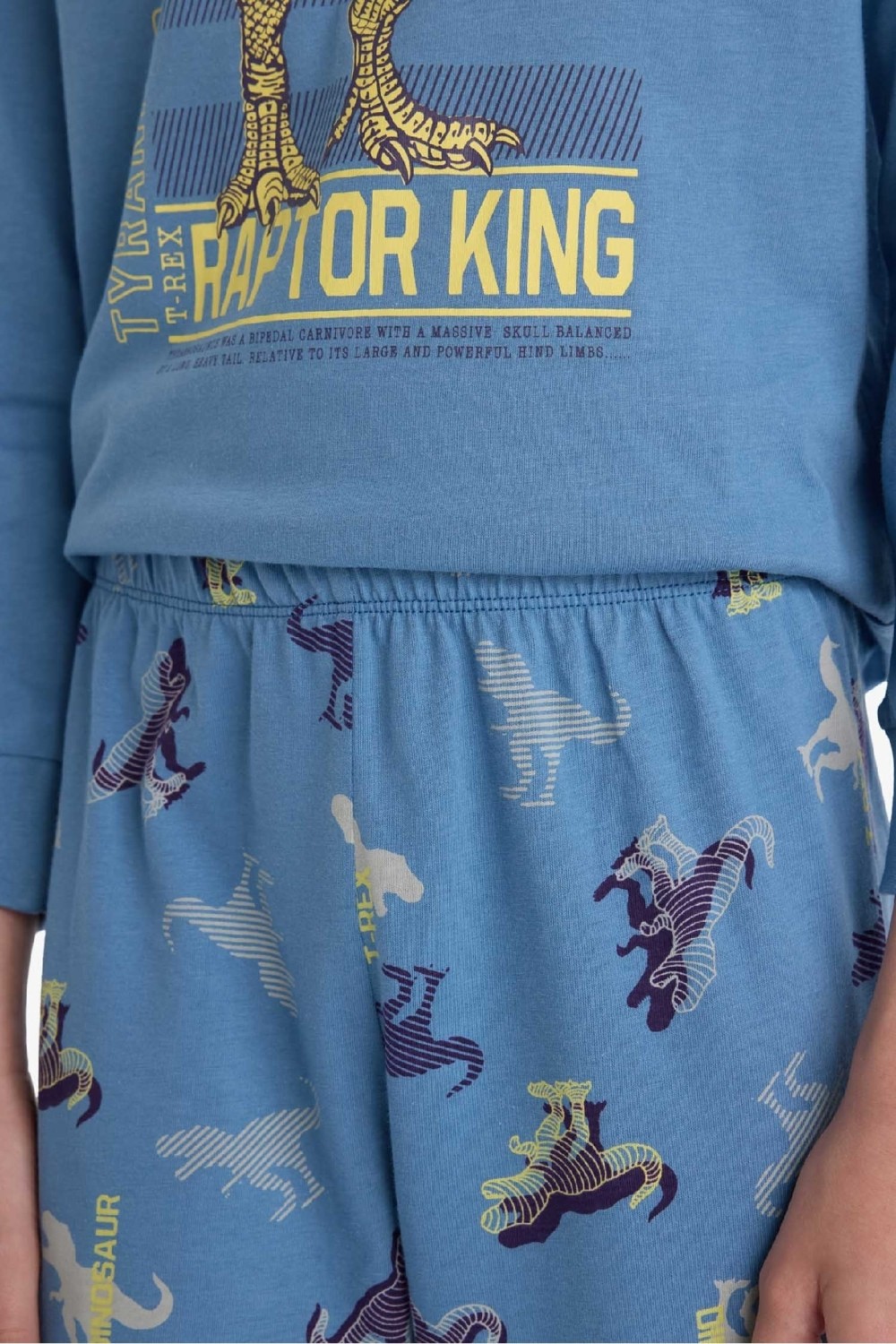 DeFacto Erkek Çocuk Pijama Takımı Dinozor Baskılı Uzun Kollu Üst Uzun Alt F1891A825AU görsel 6