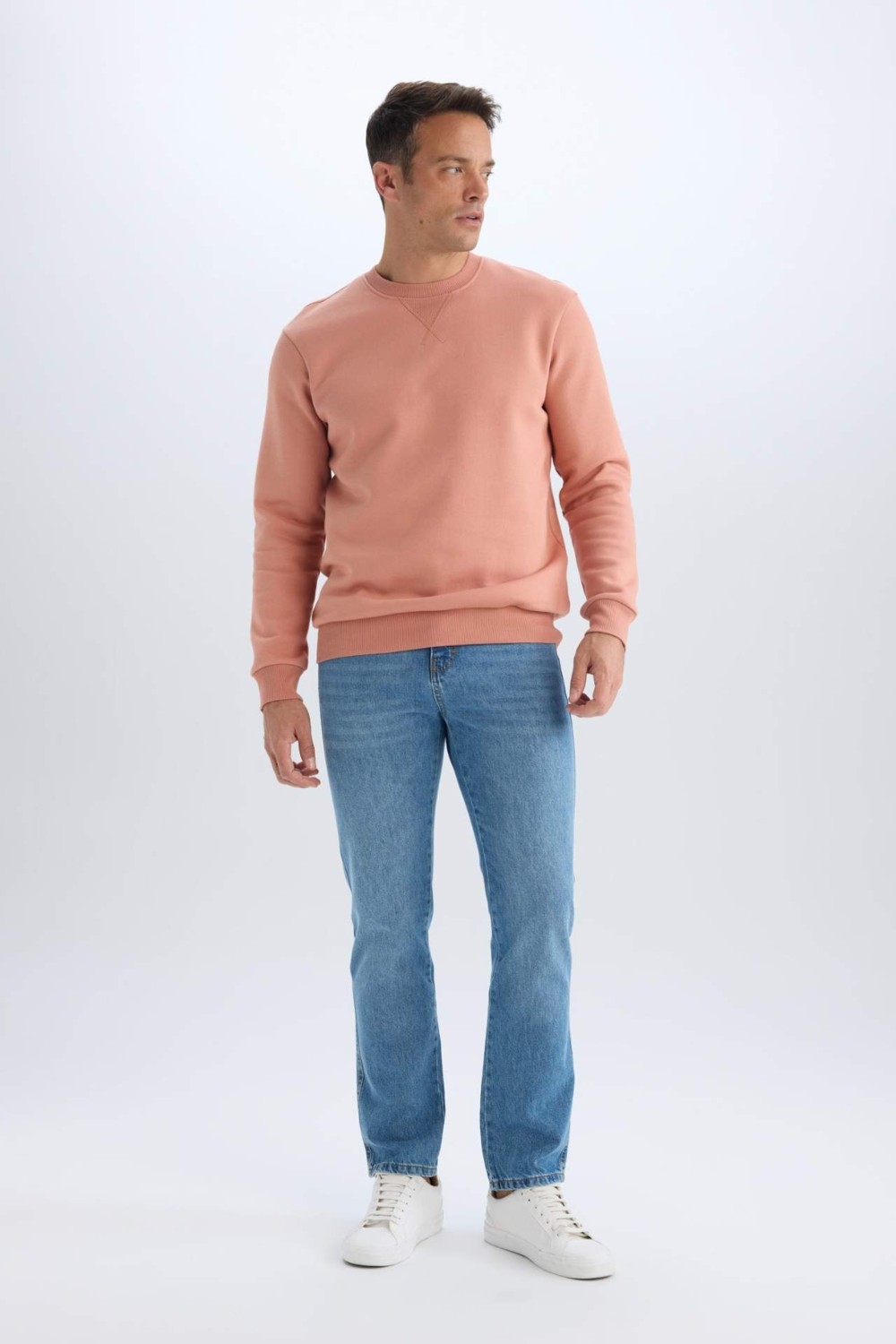 DeFacto Regular Fit Bisiklet Yaka Kalın Basic Düz Sweatshirt T3777AZ25SP görsel 8