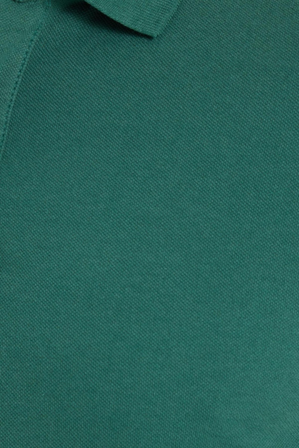 Tudors Erkek Slim Fit Dar Kesim Pamuklu Yumuşak Dokulu Serin Tutan Kumaş Düz Pike Yeşil Polo Yaka Tişört görsel 6