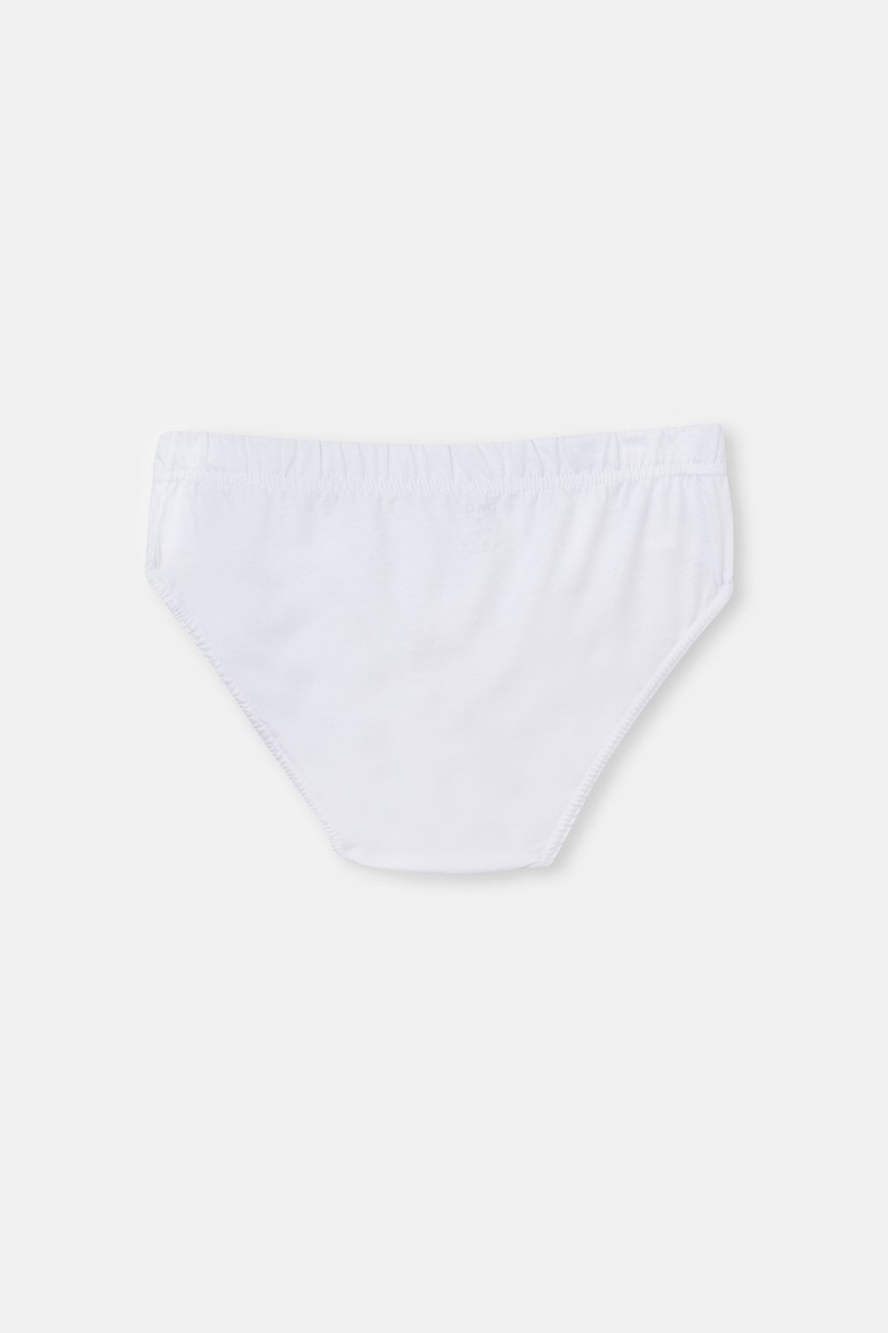 Dagi Erkek Penye 2'li Paket Pamuklu Slip Külot görsel 4