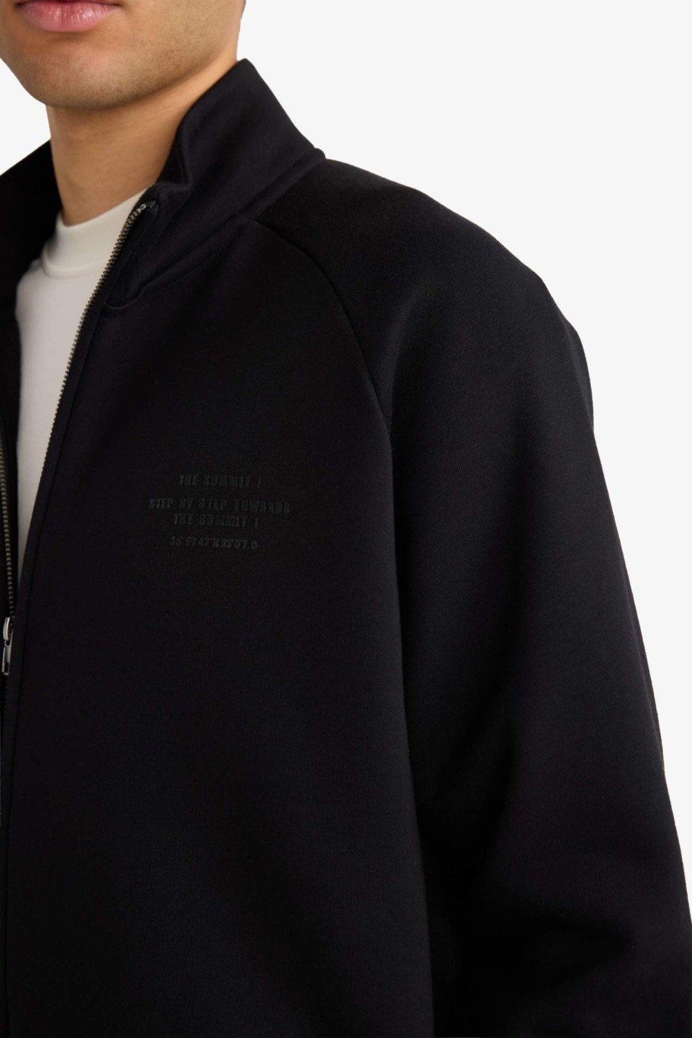 DeFacto Boxy Fit Dik Yaka Baskılı İçi Yumuşak Tüylü Cepli Fermuarlı Sweatshirt E1367AX26SP görsel 4