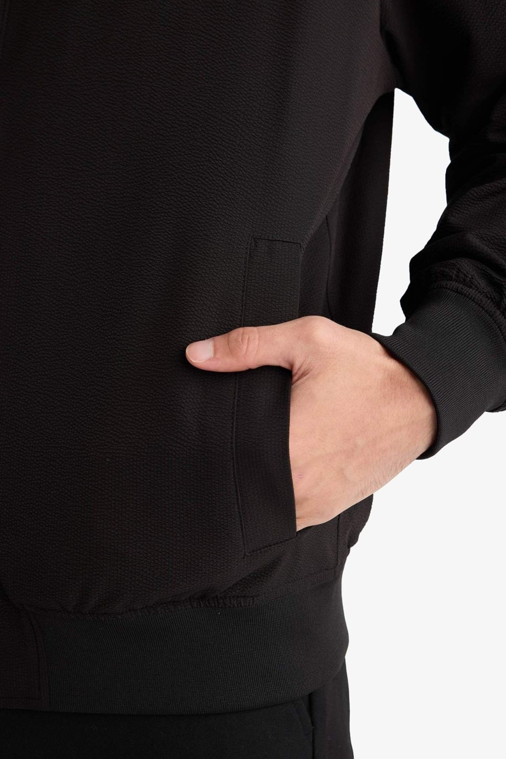 DeFacto Slim Fit Astarlı Fermuarlı Krinkıl Mont F9679AX26SP görsel 4