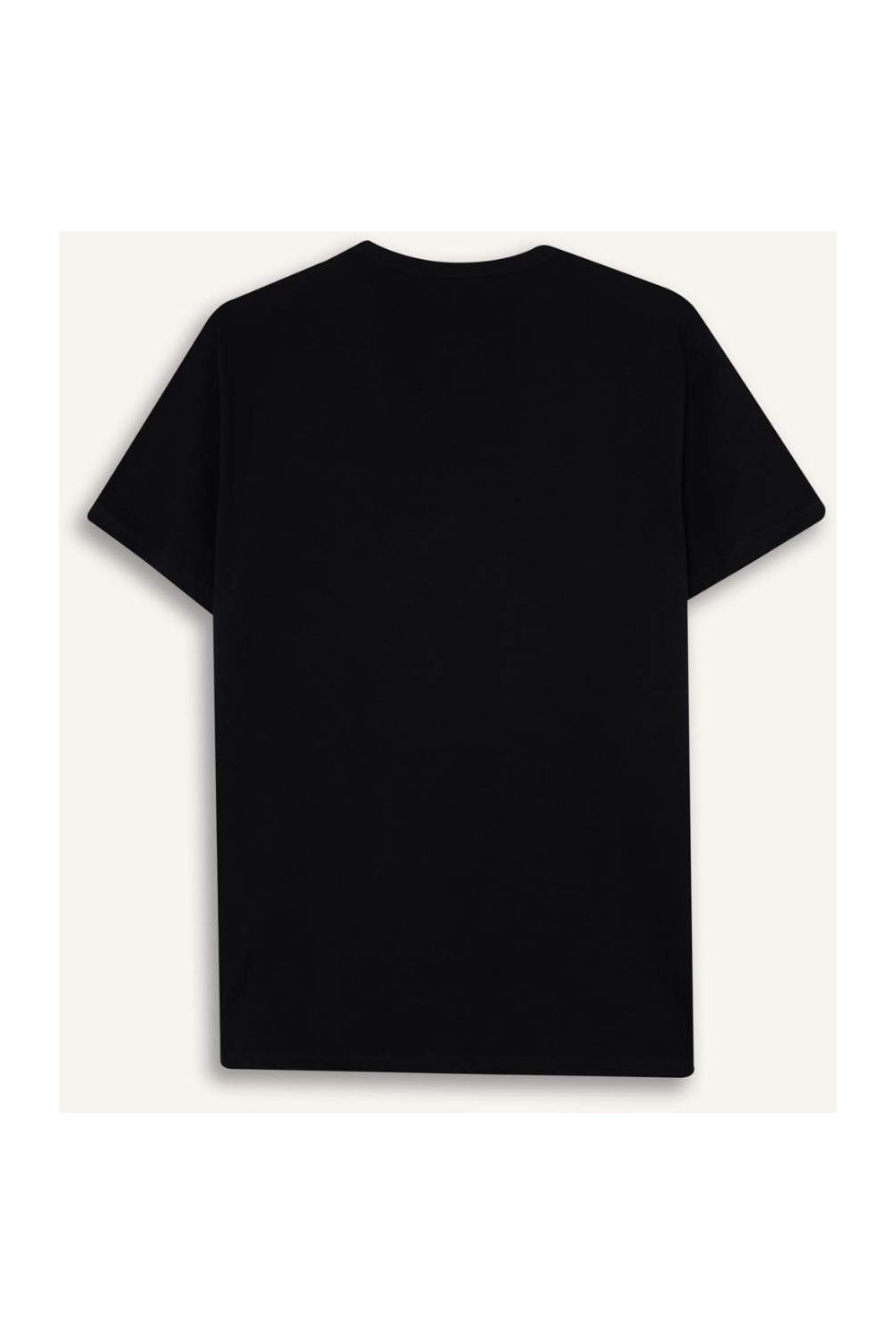 DeFacto Slim Fit Bisiklet Yaka Basic Tişört L4884AZ26SP görsel 8