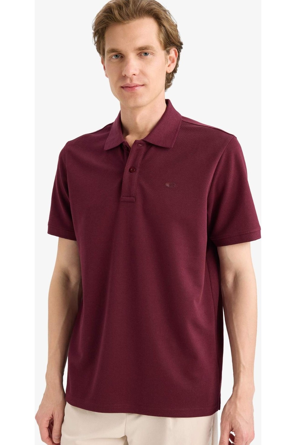 DeFacto Çabuk Kuruyan Pamuklu Regular Fit Nefes Alabilen Polo Tişört F9769AX26SP görsel 4