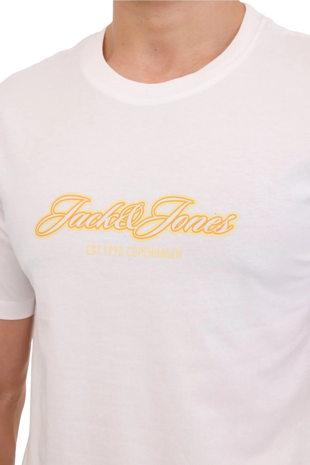 Jack & Jones Erkek Gögüs Logo Baskili Tisört - Catskill görsel 6
