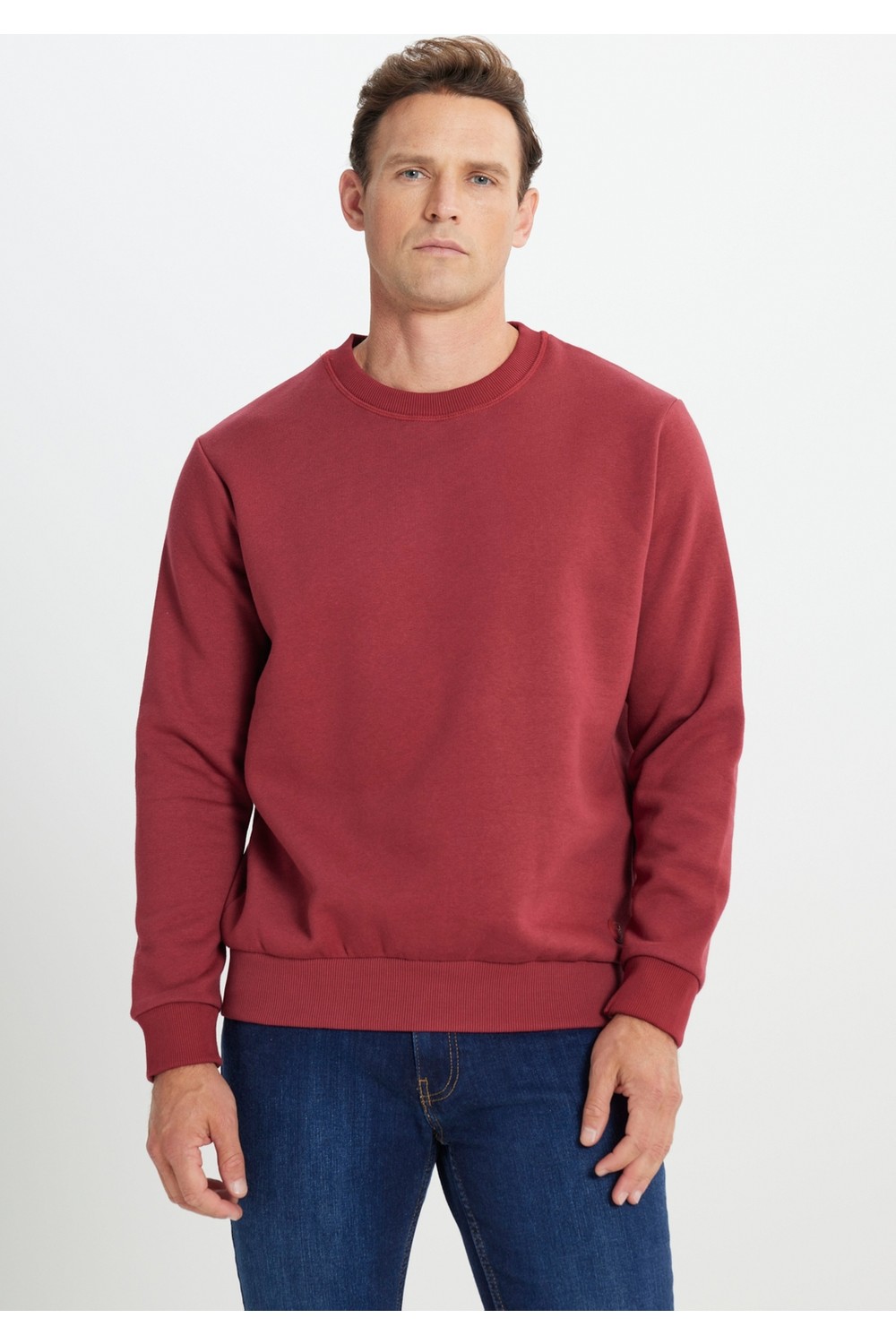 Altınyıldız Classics Erkek Siyah Standart Fit Normal Kesim Içi Polarlı 3 Iplik Bisiklet Yaka Pamuklu Sweatshirt görsel 2