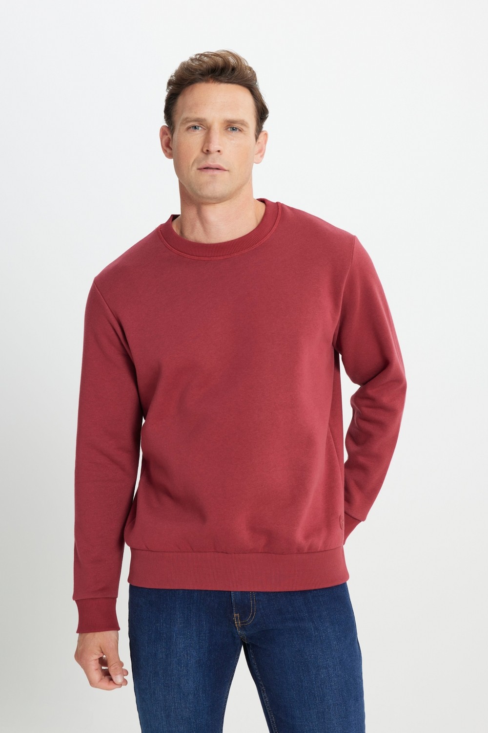 Altınyıldız Classics Erkek Siyah Standart Fit Normal Kesim Içi Polarlı 3 Iplik Bisiklet Yaka Pamuklu Sweatshirt görsel 4