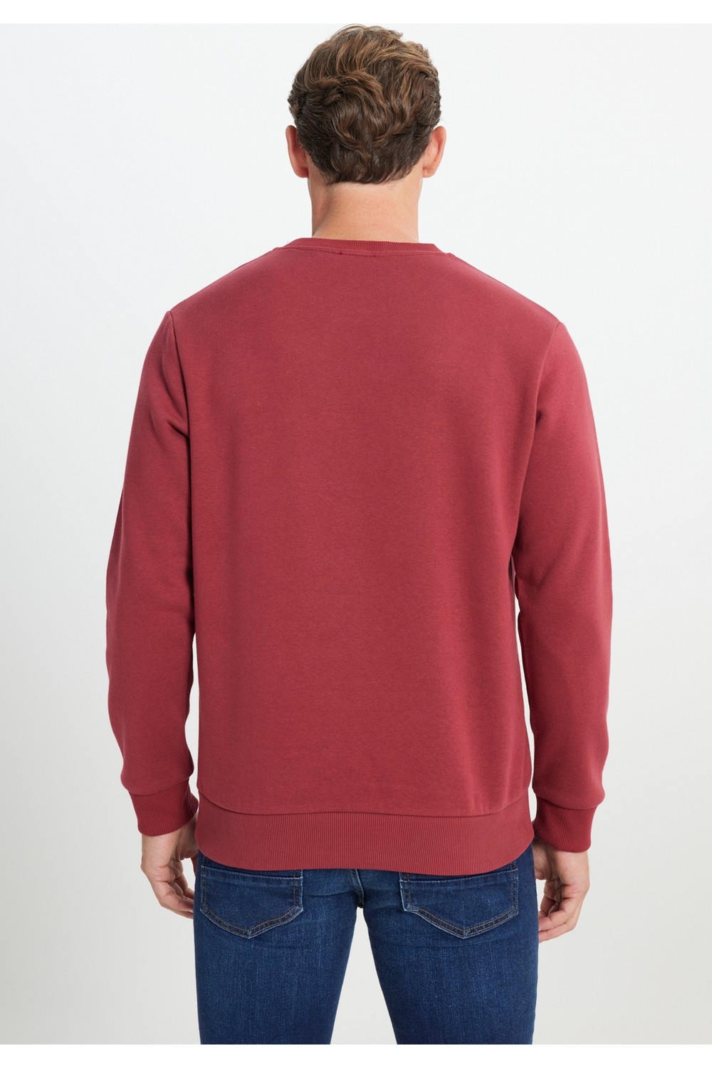 Altınyıldız Classics Erkek Siyah Standart Fit Normal Kesim Içi Polarlı 3 Iplik Bisiklet Yaka Pamuklu Sweatshirt görsel 6