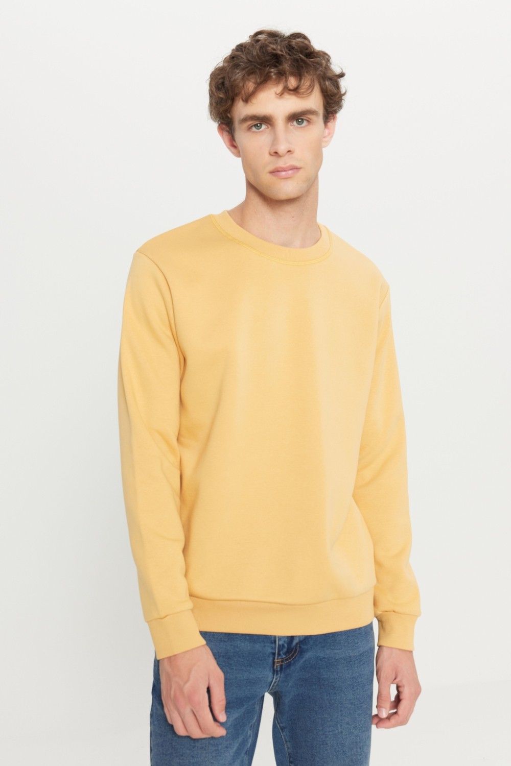 Altınyıldız Classics Erkek Siyah Standart Fit Normal Kesim Içi Polarlı 3 Iplik Bisiklet Yaka Pamuklu Sweatshirt