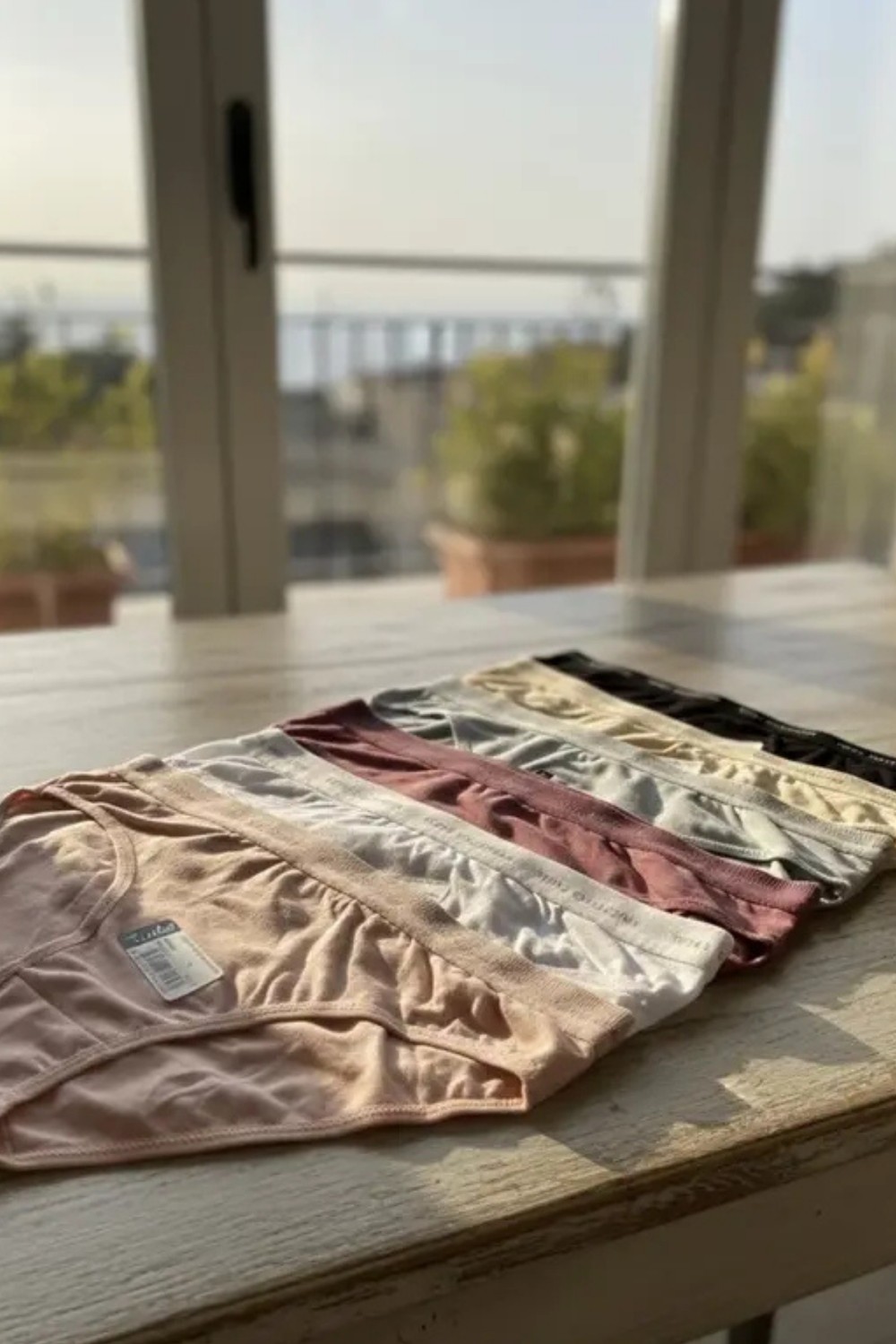 Tutku Kadın 6’lı Karışık Pamuklu Likralı Bikini Külot görsel 3