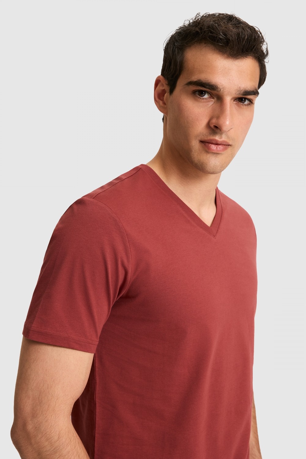 U.S. Polo Assn. Erkek Regular Fit V Yaka Yeşil Basic Tişört 50326944-VR016 görsel 2