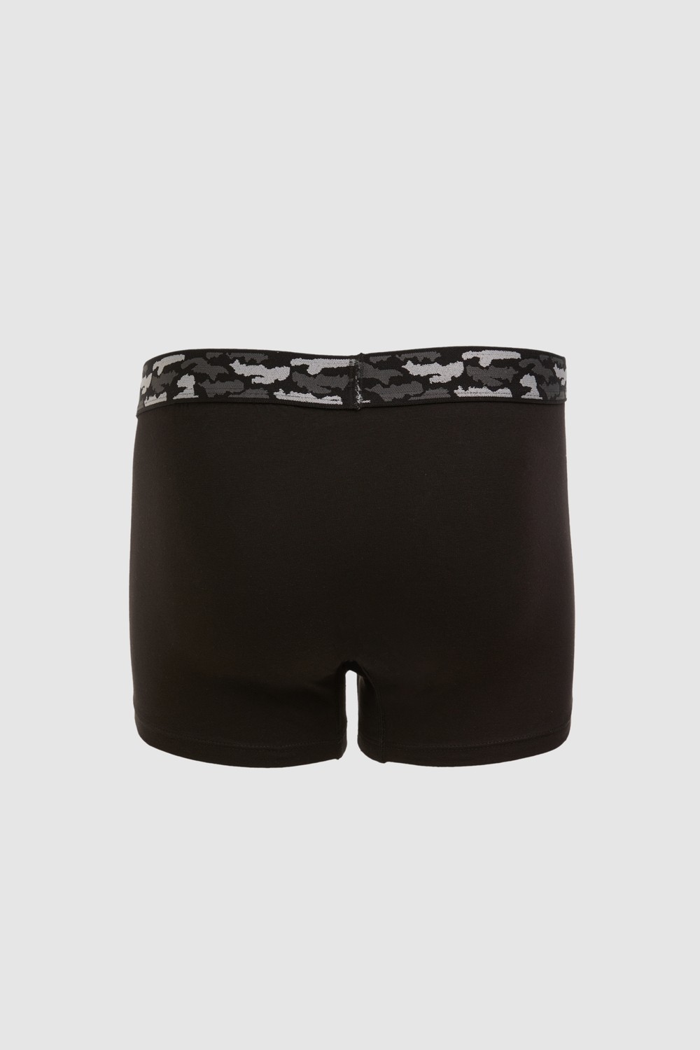 U.S. Polo Assn. Erkek Siyah Iç Giyim Alt 50326482-VR046 görsel 4