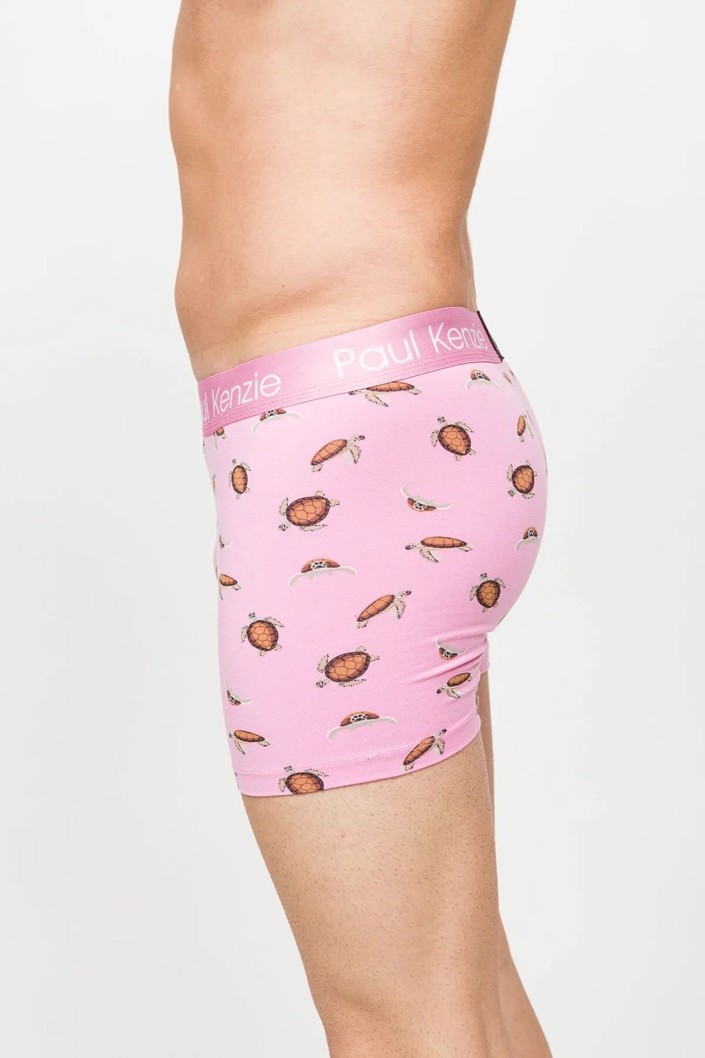 Paul Kenzie Desenli Erkek Boxer, Eco Characters, Turtley
