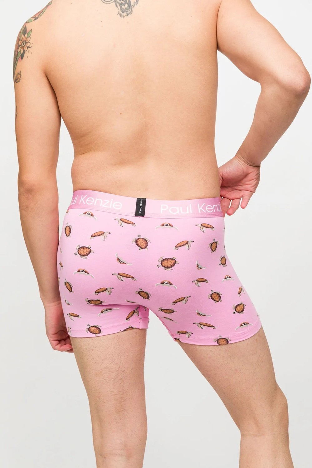 Paul Kenzie Desenli Erkek Boxer, Eco Characters, Turtley görsel 3