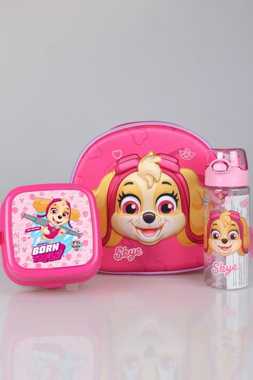 Delixa Paw Patrol Yeni Sezon Lisanslı Okulda Macera Koleksiyonu Anaokul ÇANTASI,500 ml Matara ve Beslenme