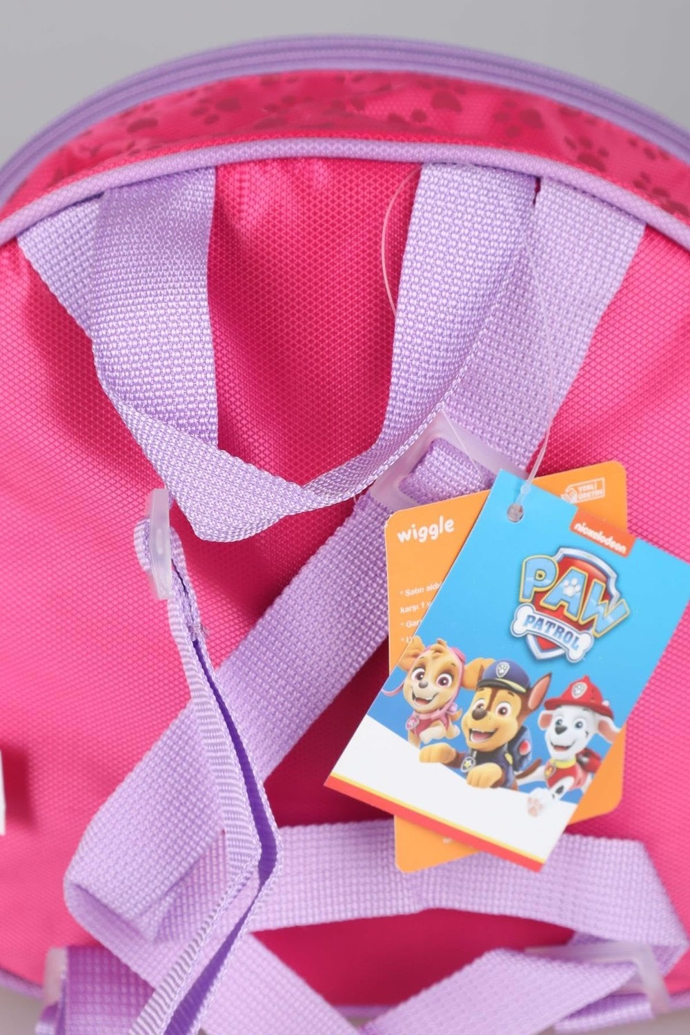 Delixa Paw Patrol Yeni Sezon Lisanslı Okulda Macera Koleksiyonu Anaokul ÇANTASI,500 ml Matara ve Beslenme görsel 6