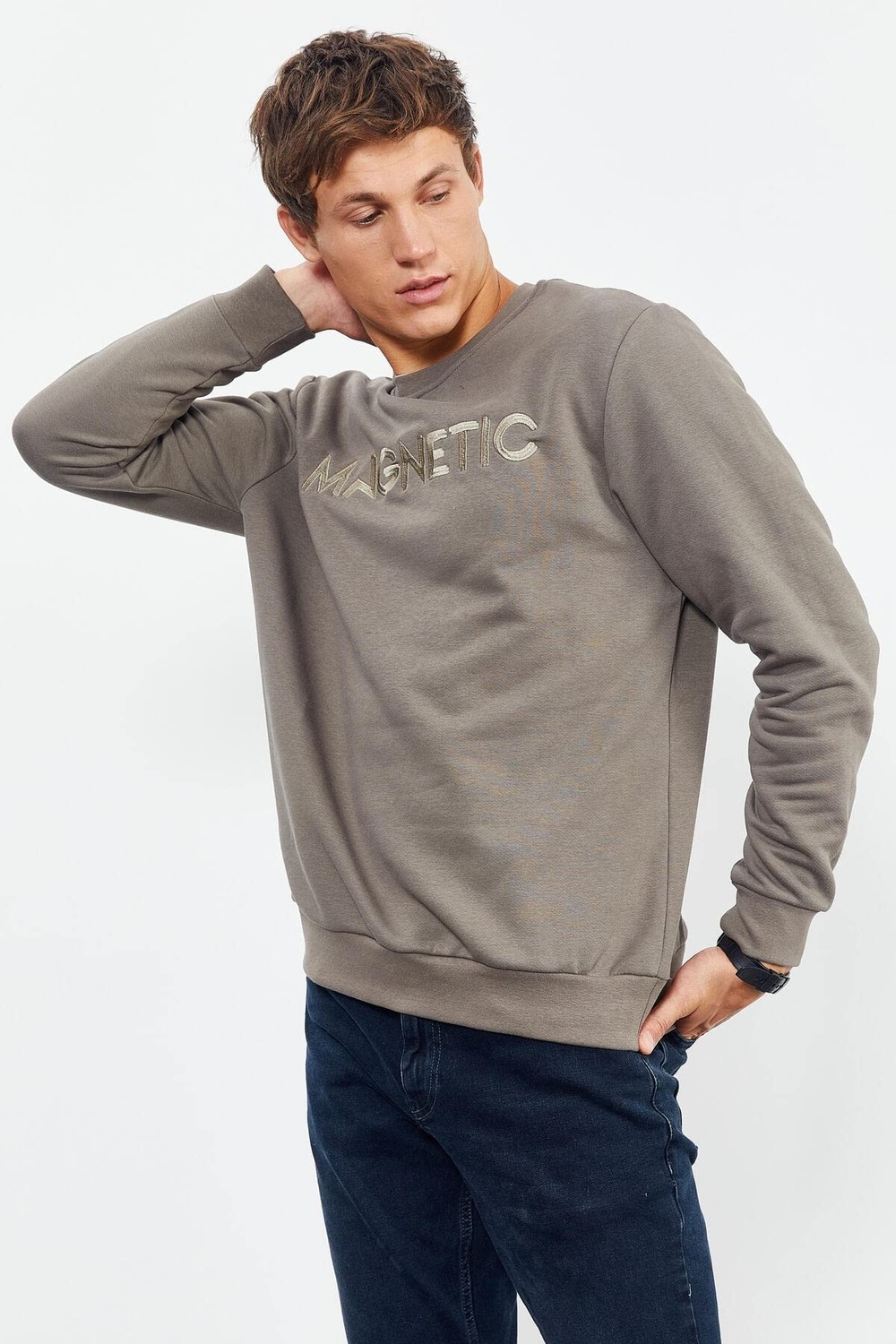Die Grup Camel Yazı Nakışlı O Yaka Rahat Form Içi Polarlı Erkek Sweatshirt - 88020 görsel 2