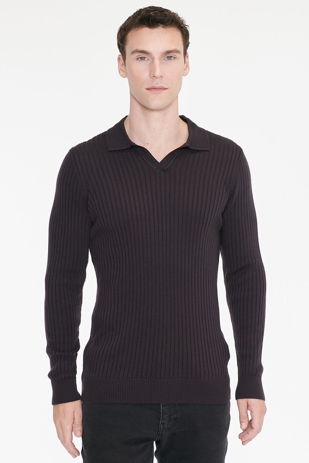 Altınyıldız Classics Standart Fit Normal Kesim Polo Yaka Jakarlı Triko Kazak görsel 8