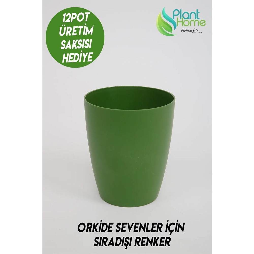 Orkide Saksısı Koyu Yeşil  Dekoratif Dış Saksı 1 Adet- 12 Pot Şeffaf Orkide Üretim Saksısı Hediyeli