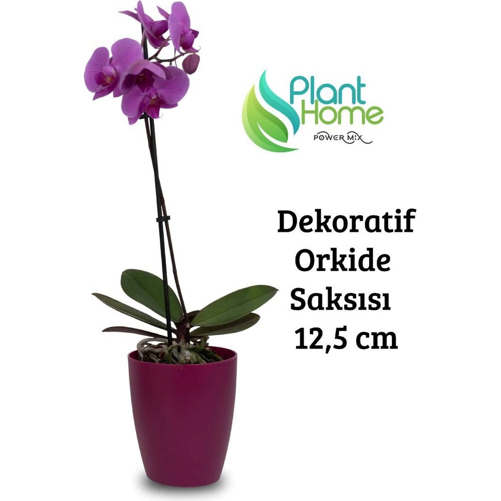 Dekoratif Vişne Orkide Saksısı-A Adet Set Fiyatlı-12 Pot Üretim Saksısına Uygun Kaliteli Ürün