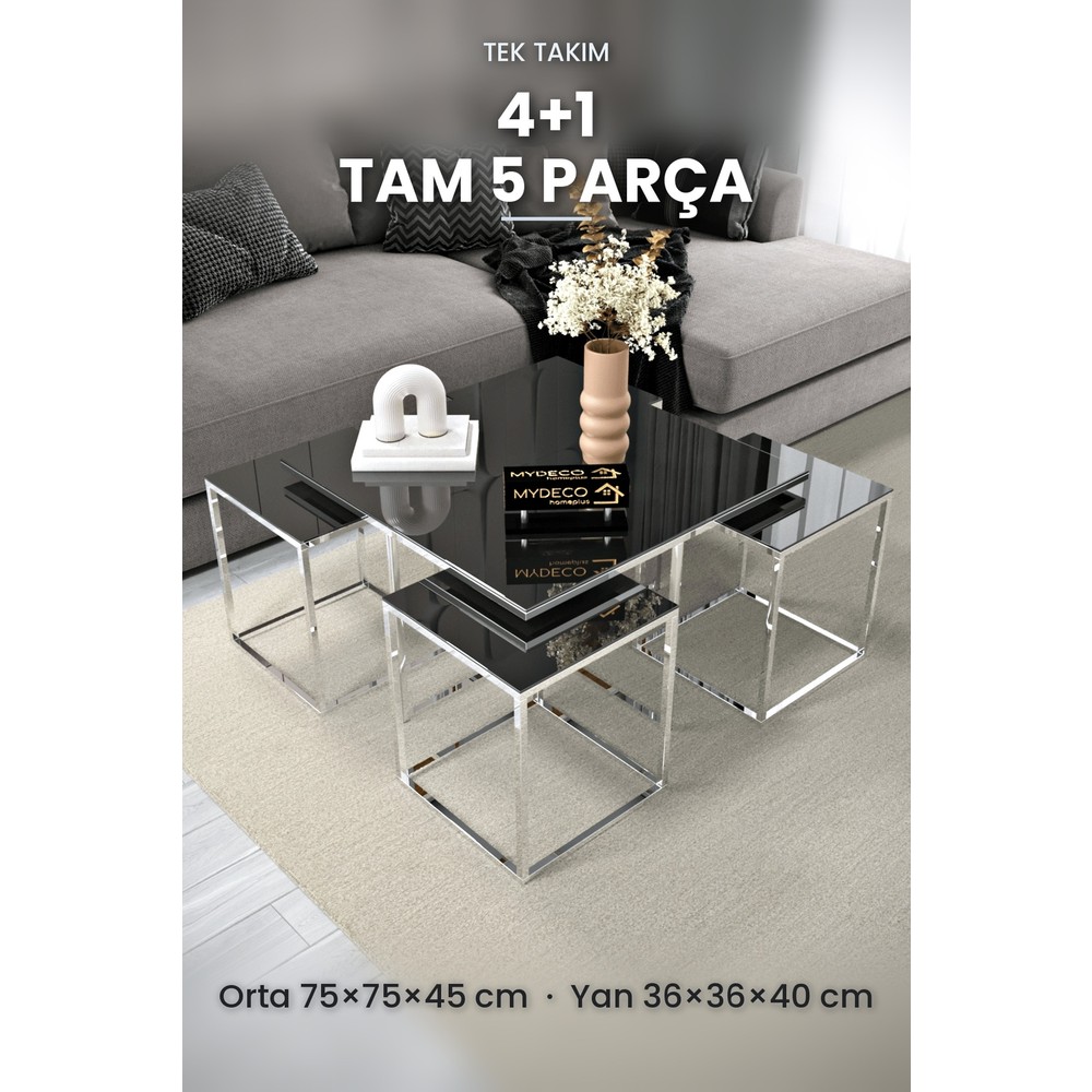 Home Plus Mobilya Roma 5 Parça Gümüş Zigon Sehpa Takımı Orta Sehpa Yan Sehpa siyah Cam Kurulu Hediye 75x75