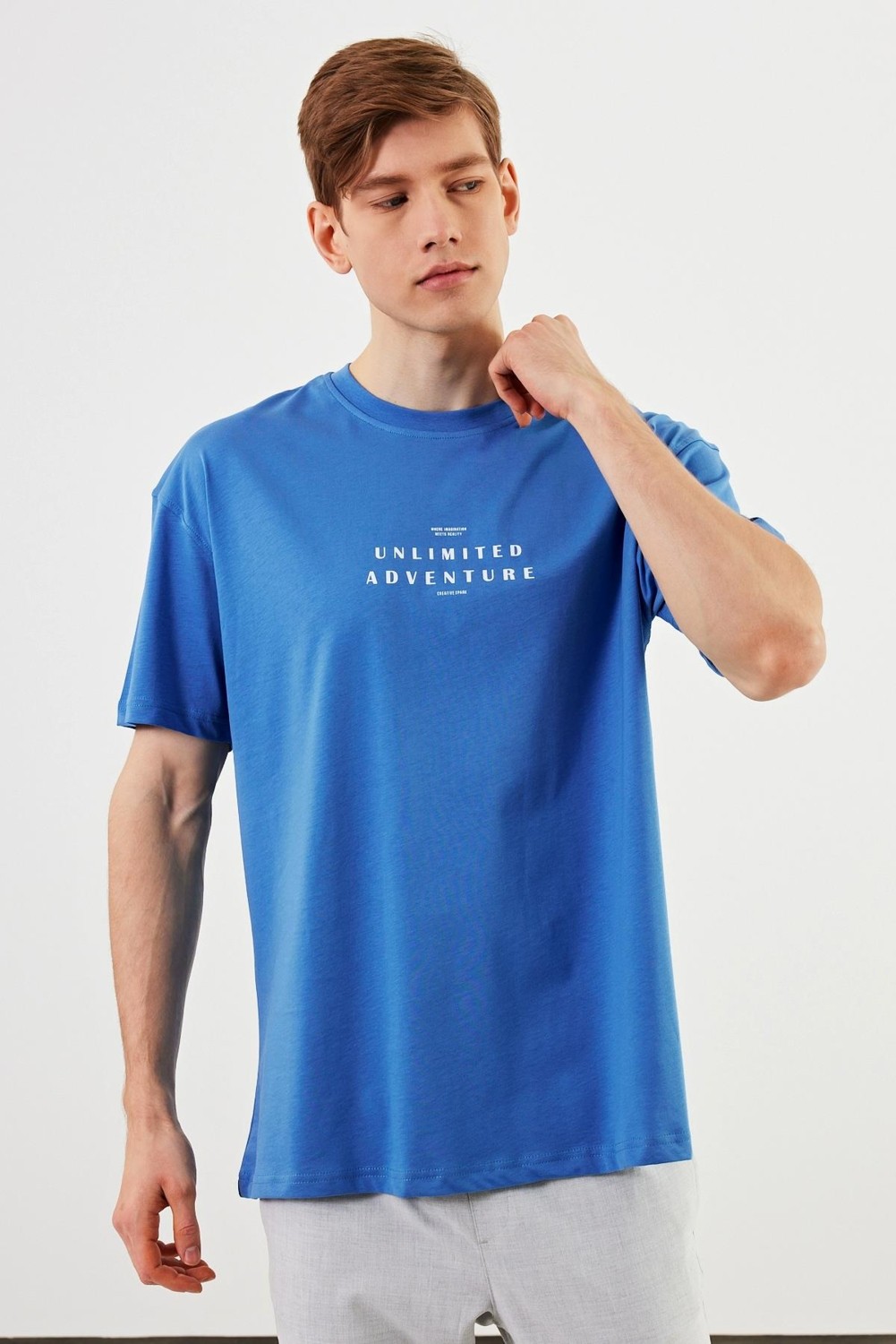 Mmetalic Leo Erkek Oversize T-Shirt görsel 4