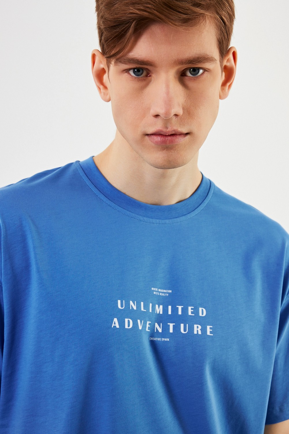 Mmetalic Leo Erkek Oversize T-Shirt görsel 6