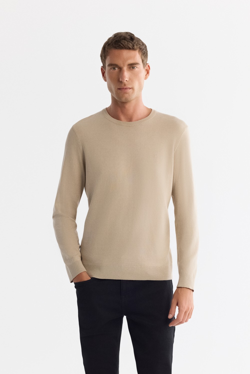 AVVA Erkek Bej Viskon Bisiklet Yaka Triko Regular Fit Kazak B005132