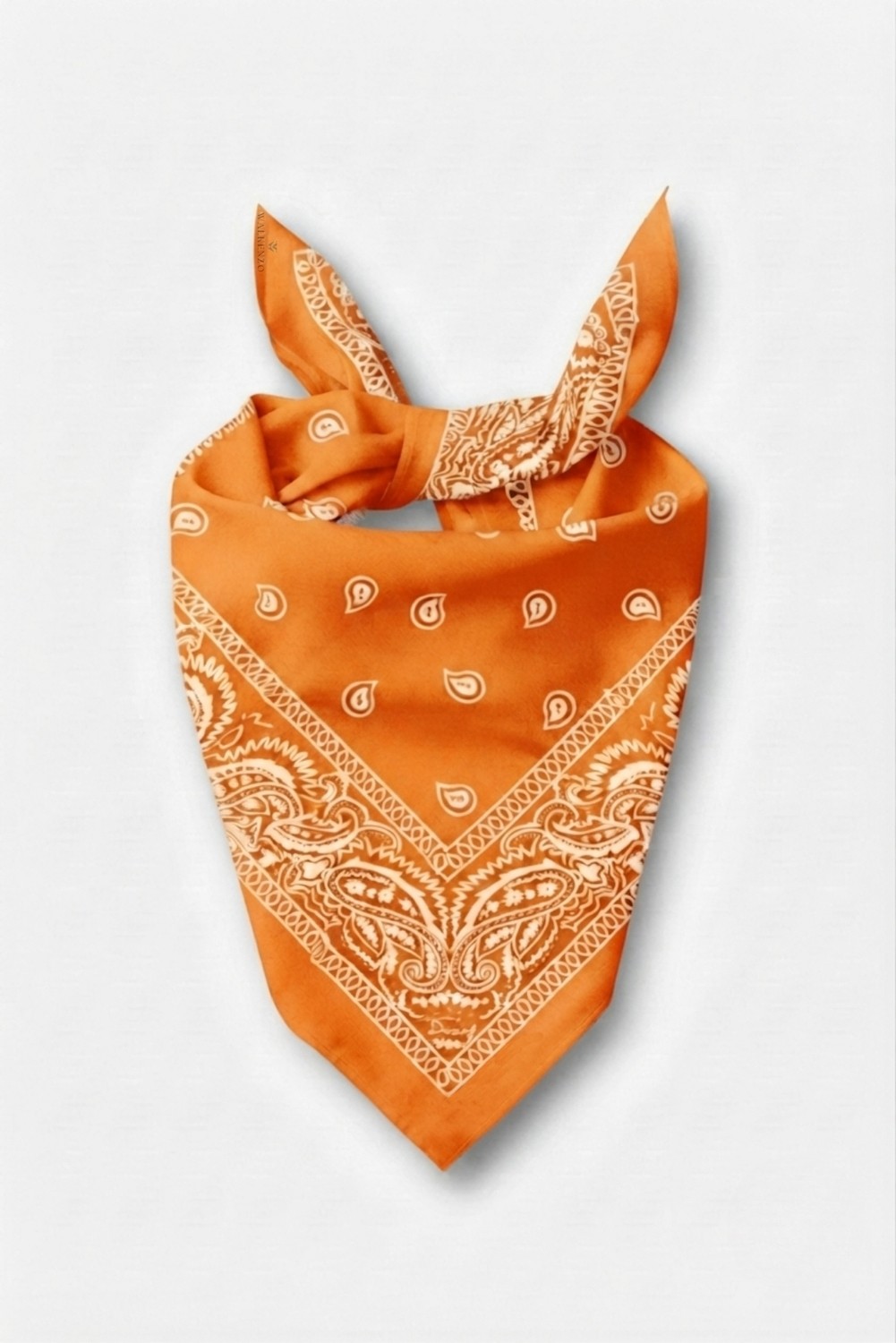 Walkenzo Paisley Desen %100 Pamuklu Çok Amaçlı Bandana Fular