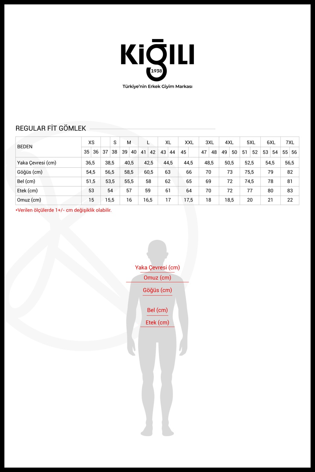 Kiğılı Uzun Kol Regular Fit Non Iron Ütü Gerektirmeyen Pamuklu Gömlek görsel 4