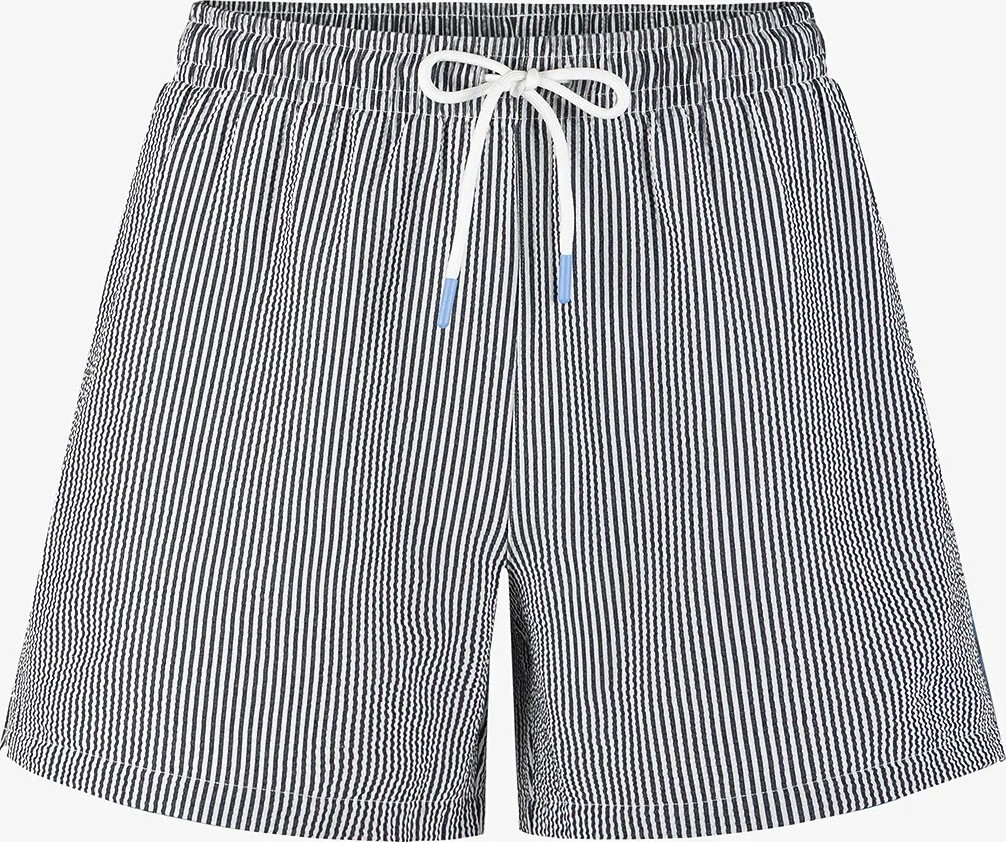 Penti Erkek İndigo Navy Tissue Çizgili Şort görsel 4