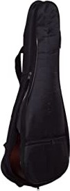 Ukulele Aksesuarı Kılıf görsel 3
