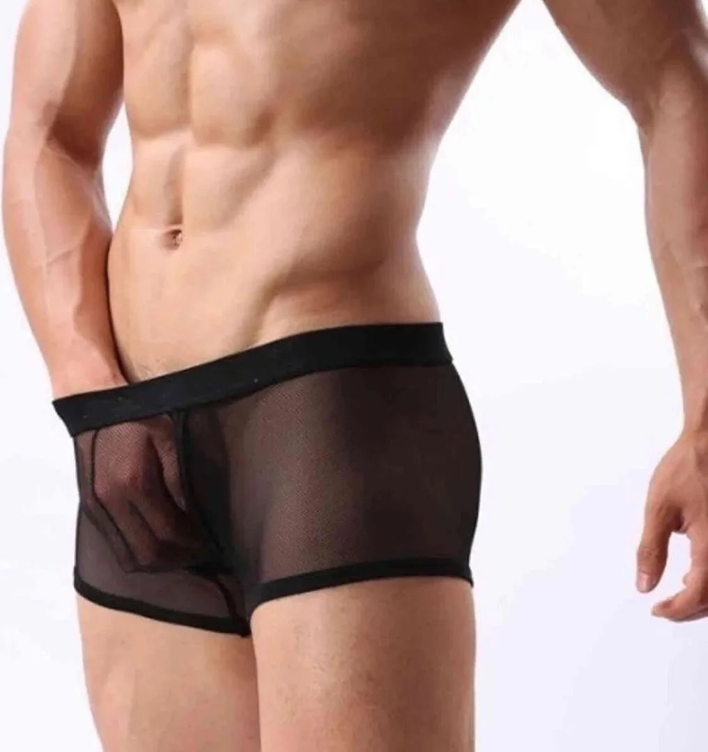 mery Fantezi Transparan Tül Erkek Boxer Fantezi Tanga Mery Woman görsel 3