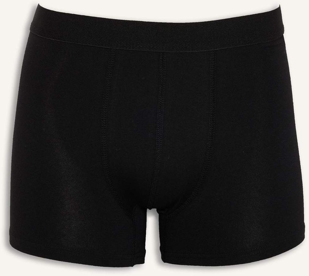 DeFacto Regular Fit 3'lü Boxer N4277AZ26SP görsel 2