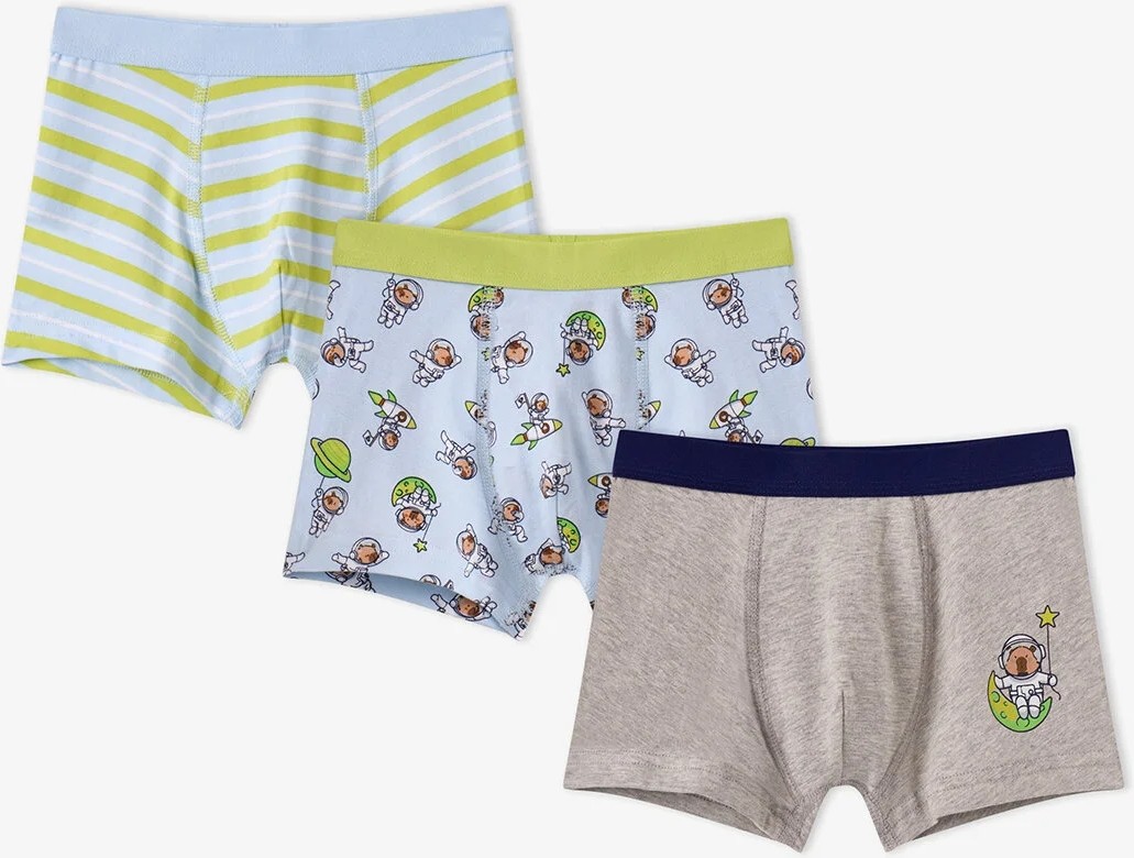 Penti Erkek Çocuk Mavi Capybaras Space Pamuklu 3'lü Boxer