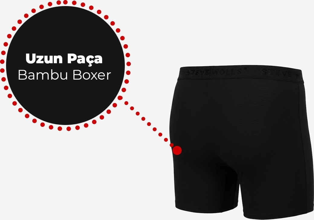 Steve Wolls Erkek Renkli 5’li Uzun Paça Bambu Boxer - 25204 (BUK100) görsel 3