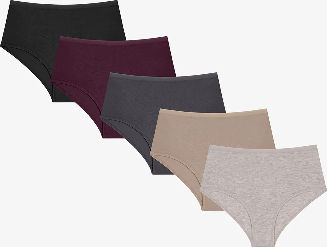 Penti Dark Mauve Yüksek Bel 5'li Slip Külot