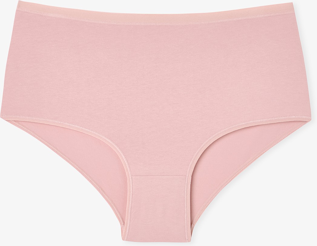 Penti Derin Clay Yüksek Bel 3'lü Slip Külot görsel 4