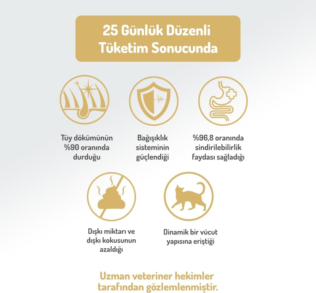 Die Grup Felicia 5 kg Kolajenli Somonlu Az Tahıllı Yetişkin Kedi Maması Hypoallergenic Kedi Maması görsel 5